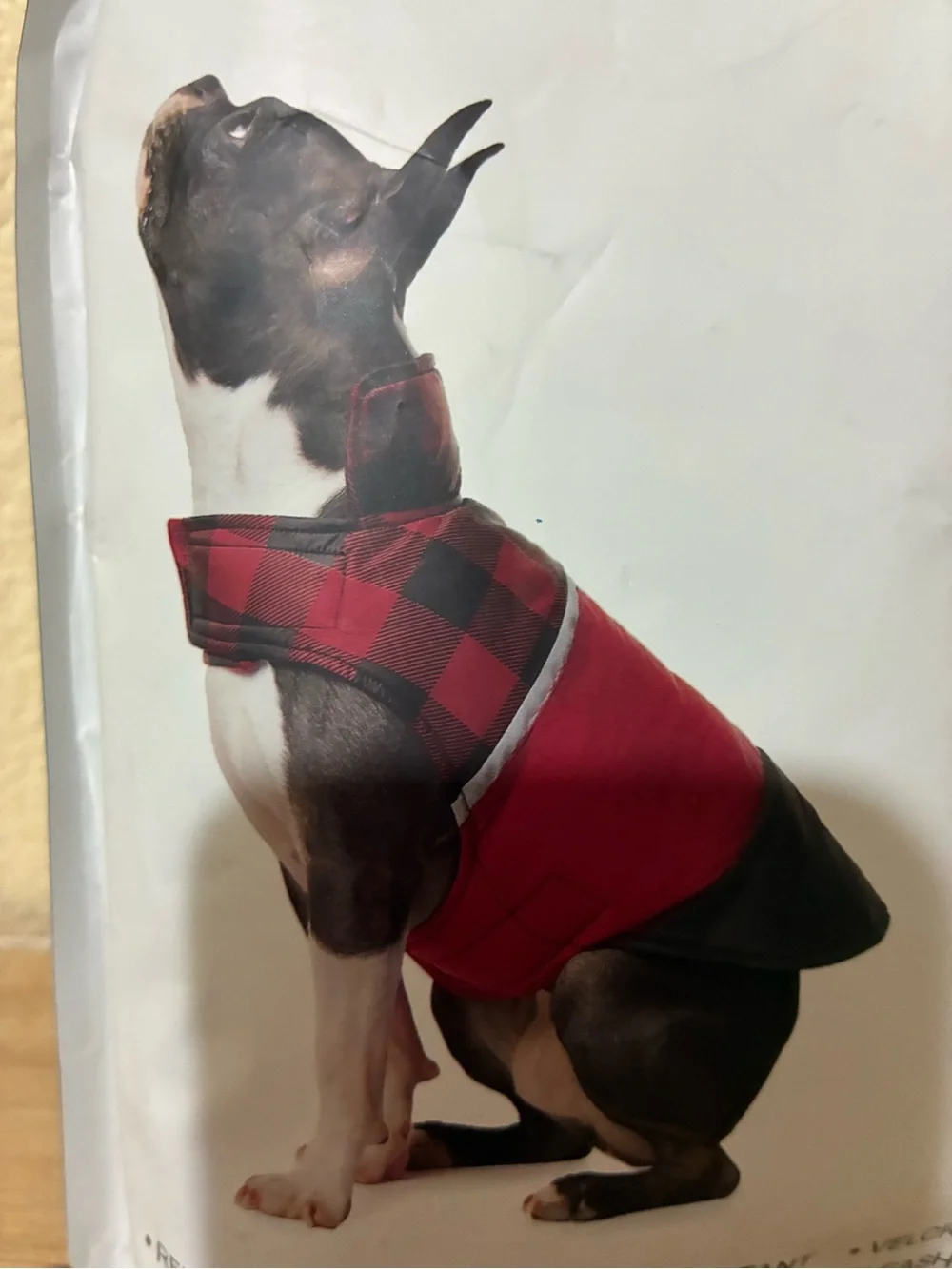 32 Degrees insulated dog